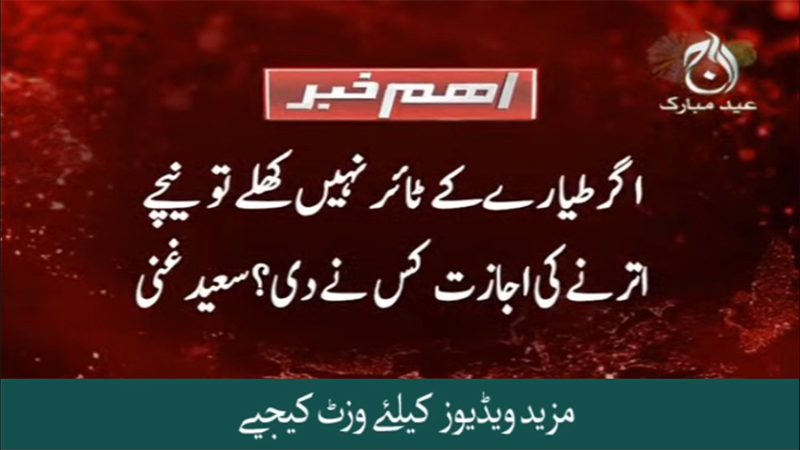 PIA plane crash, PPP nay shafaf tehqiqaat par sawal utha diye