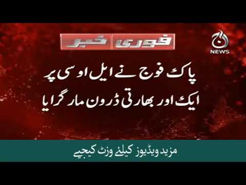 Pakistan Army troops shot down an Indian spying quad copter