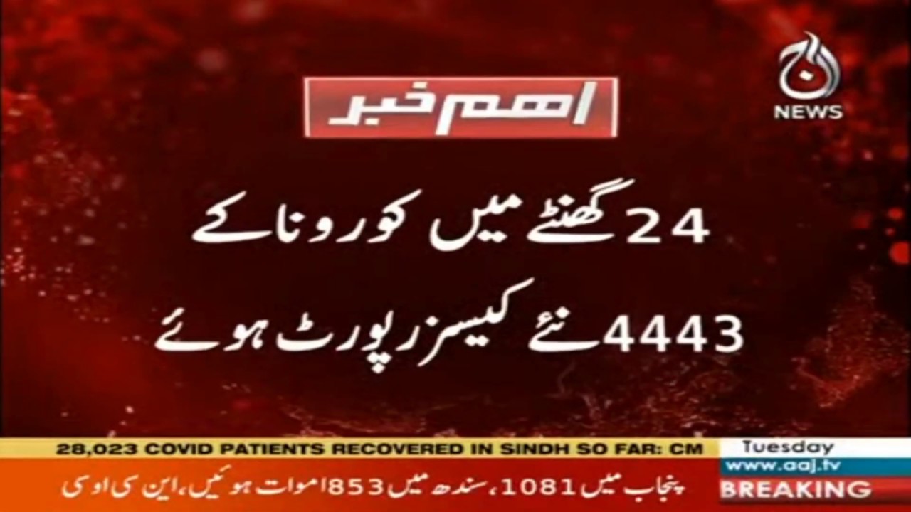 111 deaths from coronavirus in 24 hours 111 deaths from coronavirus in 24 hours