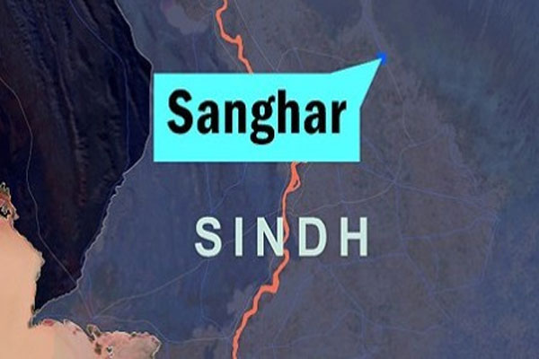 پیپلز پارٹی کی انتخابی ریلی پر فائرنگ،چار افراد جاں بحق