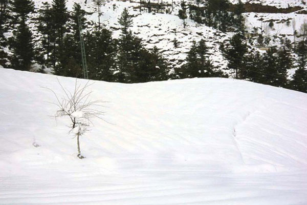 بالاکوٹ میں ایک بارپھربرفباری کا سلسلہ شروع