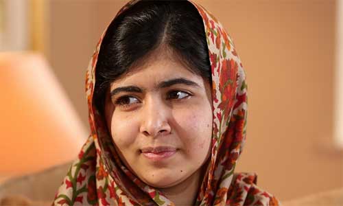 آپریشن ضرب قلم شروع کرنے پرزور