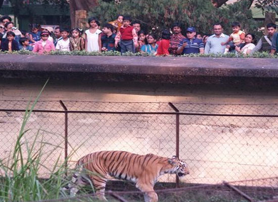 پنجاب :موسم سرما کی چھٹیوں کا اعلان ،تفریح شروع