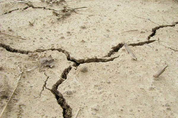 سوات ، شانگلہ اور مالا کنڈ ڈویژن میں زلزلے کے جھٹکے