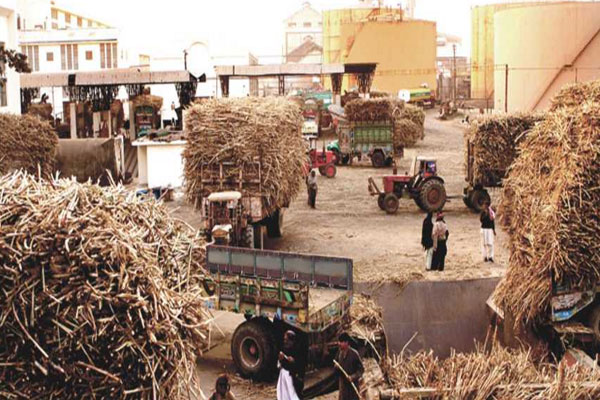 شوگر مل بندش،سیاسی رہنماوں کی تنقید