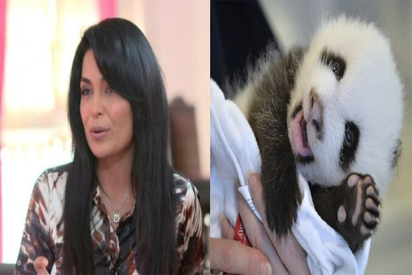 میرا پانڈے کا بچہ گود لینے کی خواہشمند