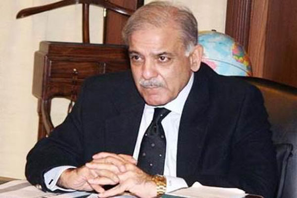 وزیراعلیٰ پنجاب کو خناق سے ہلاکتوں کی انکوائری رپورٹ ارسال