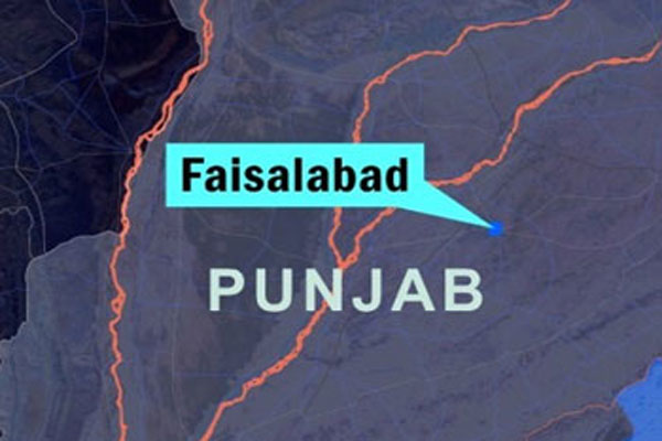 پی ٹی آئی کارکن کی چو ری ہونیوالی بلی تاحال لاپتہ