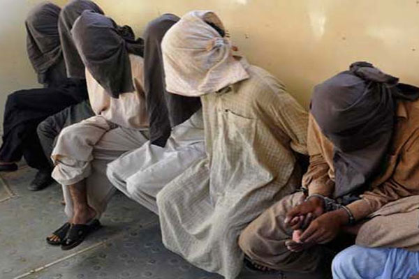 پشاوراورچارسدہ میں سرچ آپریشنز،69 ملزمان گرفتار