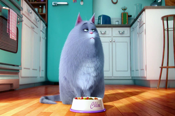 اینیمیٹڈ فلم دی سیکرٹ لائف آف پیٹس کا نیا ٹریلرجاری