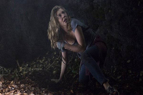 ہالی وڈ مووی دی فوریسٹ آج ریلیز ہورہی ہے