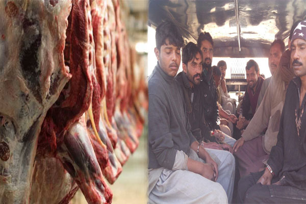 اسلام آبادمیں مردہ جانوروں کا 2 ہزارکلو گوشت برآمد
