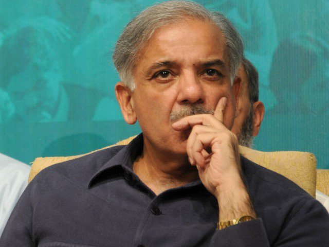 رواں برس گندم کی بہترین فصل ہوئی ہے،شہباز شریف