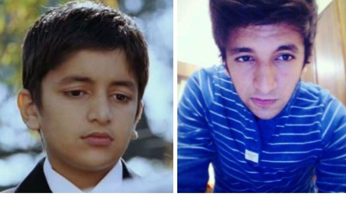 کنگ خان کے فلمی بچے