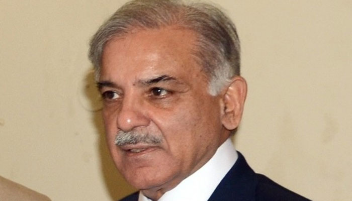 اورنج لائن منصوبہ تکمیل کے مراحل میں ہے،شہباز شریف