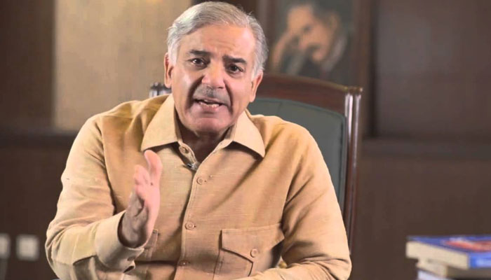ذاتی مفادات کی سیاست کی کوئی گنجائش نہیں،شہباز شریف