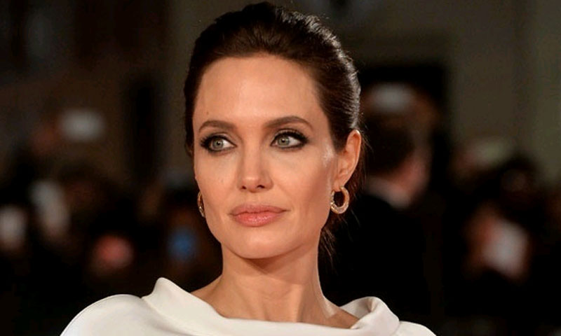 انجلینا جولی اب ٹیچنگ کرینگی