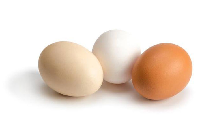 انڈوں سے متعلق انوکھی معلومات