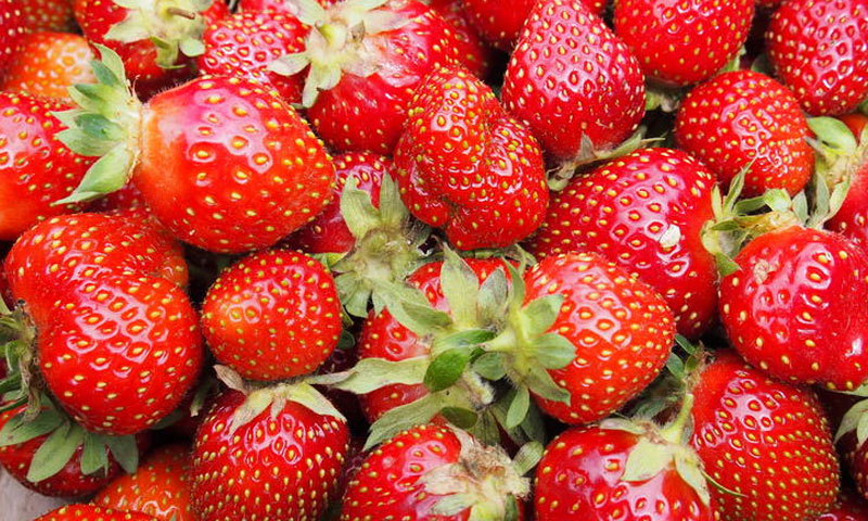 پھلوں کو تازہ رکھنے سے متعلق تحقیق