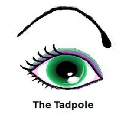 بھنوؤں کی اشکال ، بتاتی ہے شخصیت کا حال