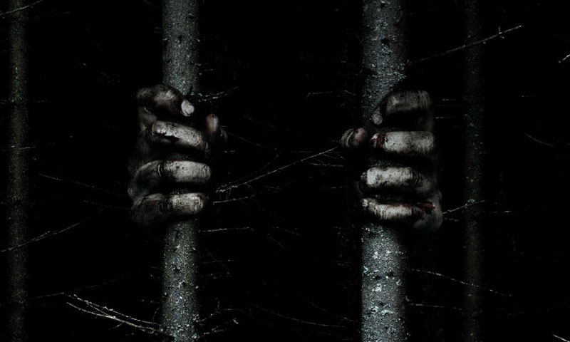 ہالی ووڈ فلم دی ووڈز کاٹریلر جاری