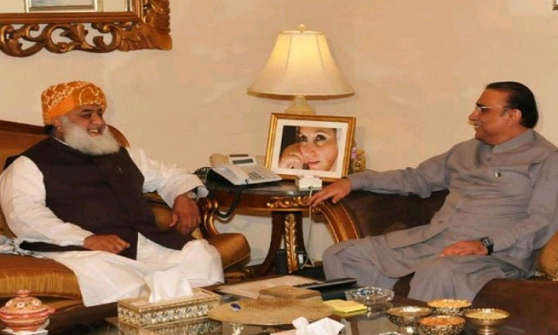 پاناما پیپرز ،آصف زرداری سے مولانا فضل الرحمان کی ملاقات