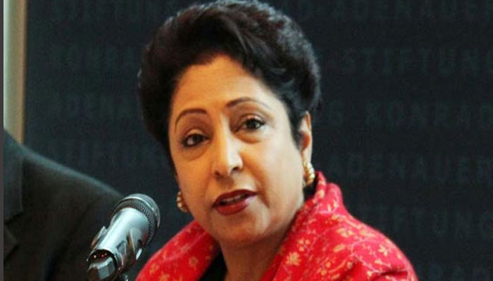 پاکستان سےہرقسم کی دہشت گردی کا خاتمہ کریں گے،ملیحہ لودھی