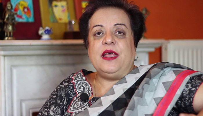 خواتین کیخلاف تشددکے واقعات میں اضافہ ہورہا ہے،شیریں مزاری