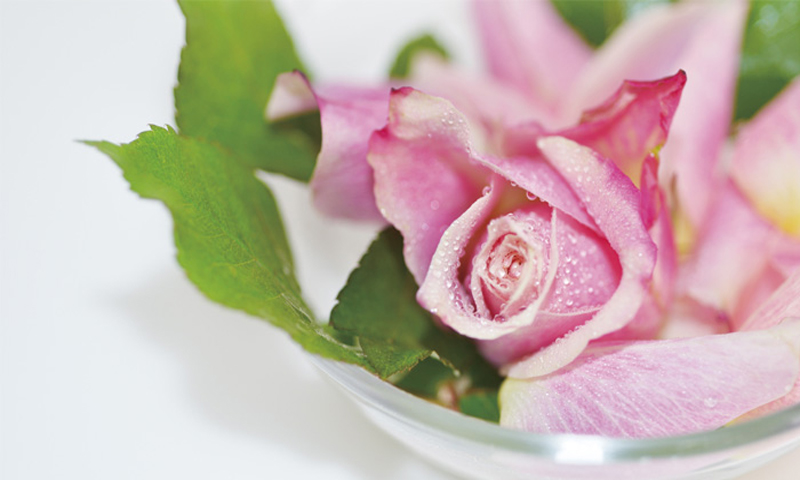 اپنی خوراک میں ان پھولوں کو شامل کریں اور صحت پائیں