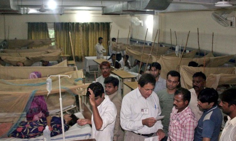ملک میں تیرہ مریضوں میں کانگو وائرس کی تصدیق