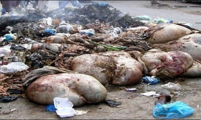 کراچی:عید الاضحیٰ پرآلائشیں ٹھکانے لگانےکا سلسلہ دوسرے روز بھی جاری