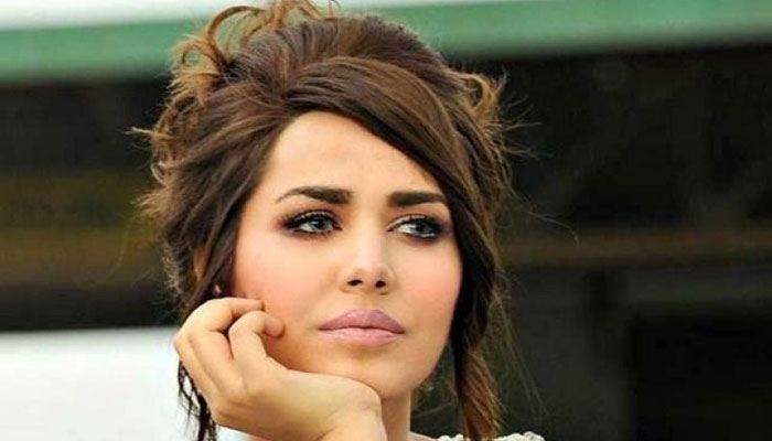 کسٹم انسپکٹر قتل کیس :ایان علی کو شامل تفتیش کرنے کی درخواست مسترد