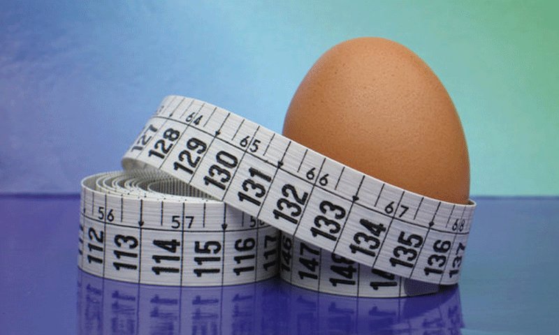 انڈے کھائیں اور تیزی  سے وزن گھٹا ئیں