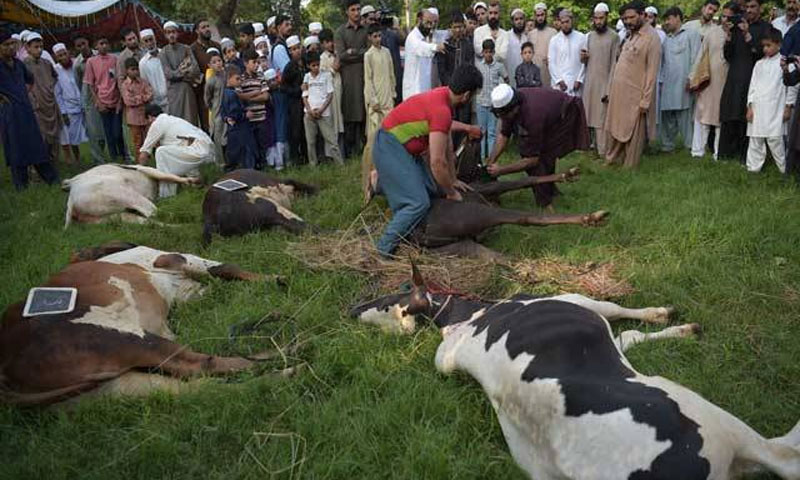 ملک بھر میں تیسرے روز بھی سنت ابراہمی کا سلسلہ جاری