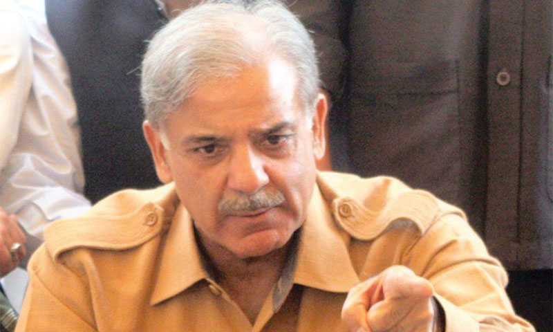 شکست خوردہ عناصرترقی کےکاموں میں رکاوٹ ڈالنا چاہتےہیں،شہباز شریف