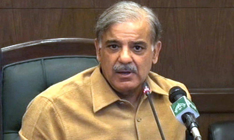 بعض سیاسی عناصرذاتی ایجنڈے پرکام کررہے ہیں، شہباز شریف