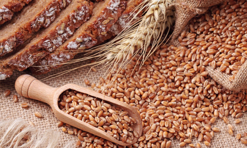 اردن کا پاکستانی گندم خریدنے سےا نکار