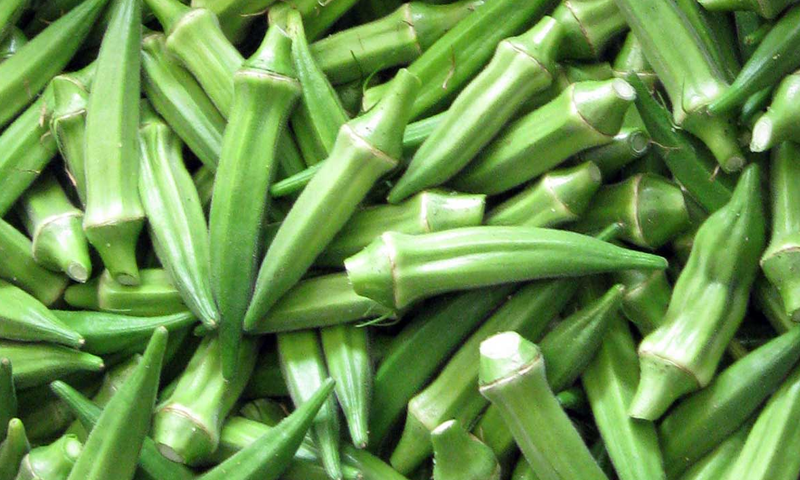 بھنڈی کے پانی کے کمالات