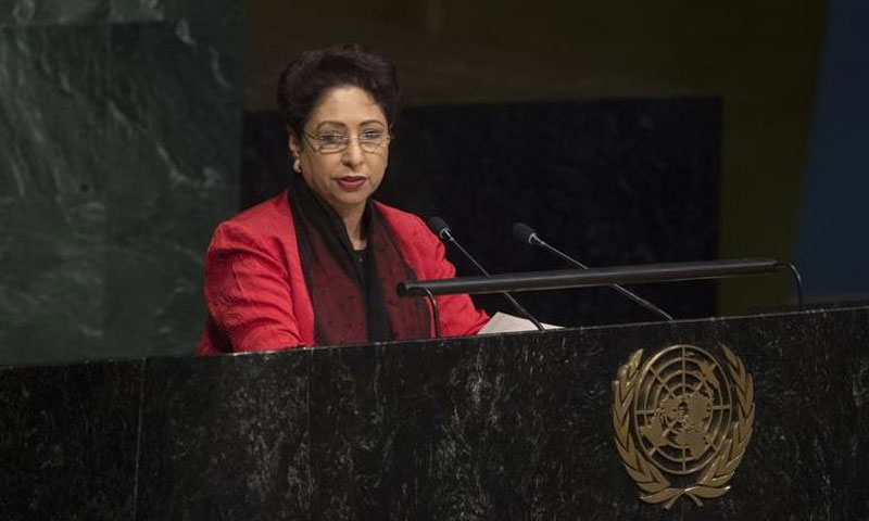 کشمیرمیں حق خودرادیت کےحصول کیلئے قانونی جدوجہد جاری ہے،ملیحہ لودھی