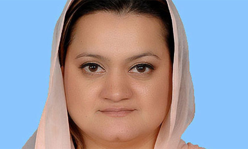 نہال ہاشمی کے بیان سے ن لیگ کا اظہار لاتعلقی