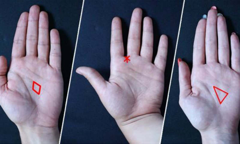 کیا آپ کی ہتھیلیوں پر بھی یہ نشان موجود ہیں؟