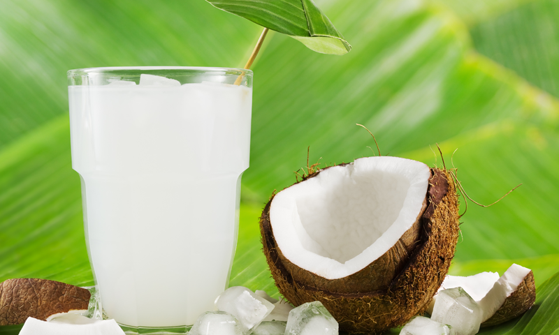 ناریل کا پانی آپ کی صحت کیلئے بہترین