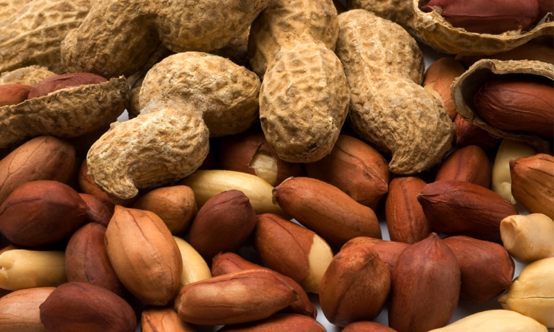 مونگ پھلی کو کوئی معمولی چیز نہیں سمجھیں