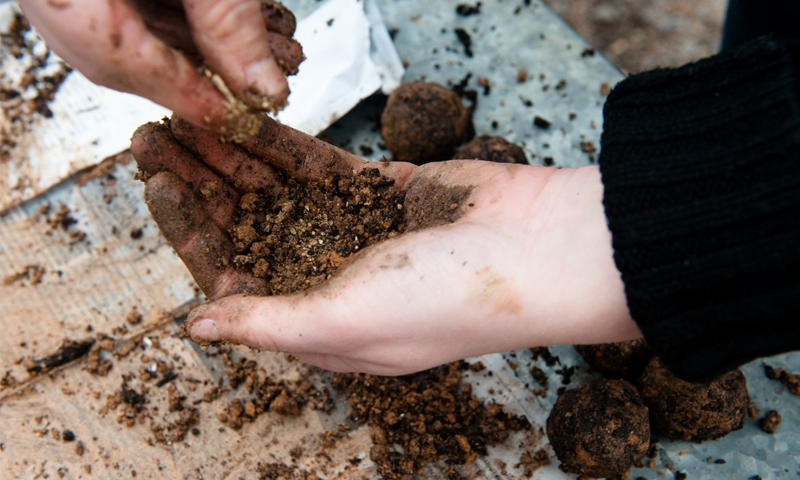 کاغذ اور مٹی &nbsp;کھانے والی بیماری