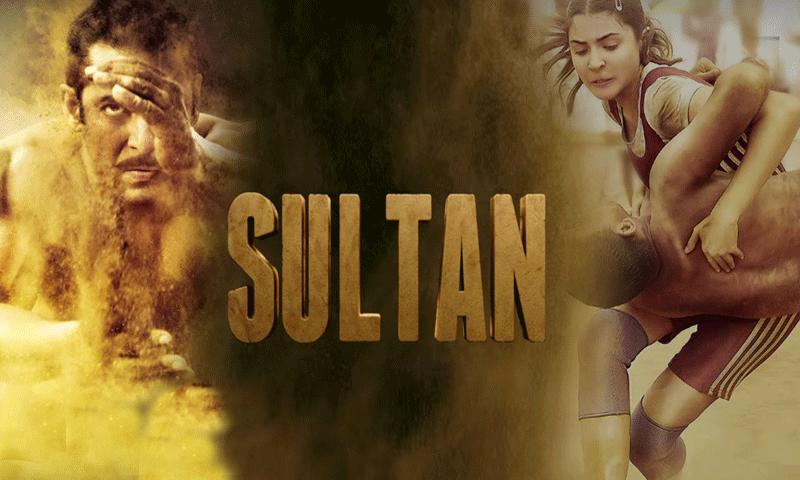 فلم سلطان کی نظر انداز کی جانے والی بڑی غلطیاں