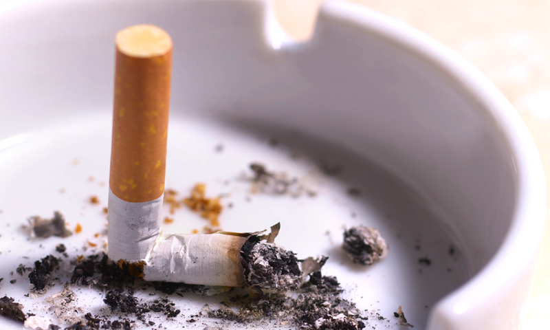 سگریٹ نوشی ترک کرنا چاہتے ہیں تو فوراً یہ پودا خرید لائیں