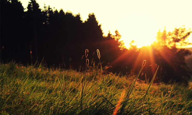 دھوپ کے بارے میں چند غیر معمولی حقائق