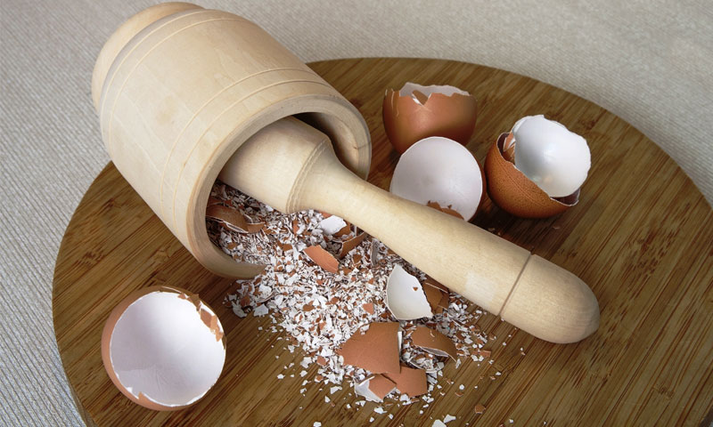 انڈے کھائیں اور ساتھ ان کے چھلکے بھی کھا لیں