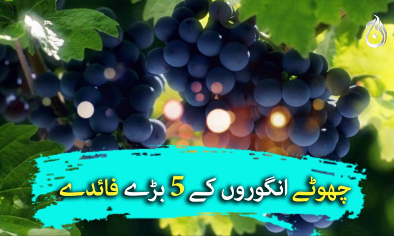 انگوروں کے 5 بڑے فائدے