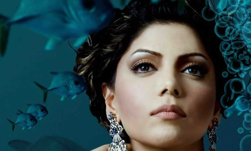 میں نے اسمگلنگ نہیں کی':حدیقہ کیانی'